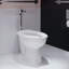 Cuvette de toilette Sirene