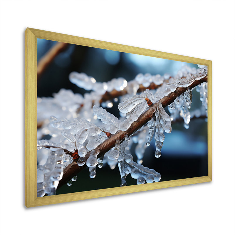Arbre glacé en hiver IV - reproduction, H 12 po x l 20 po x P 1 po, Cadre doré à une seule photo