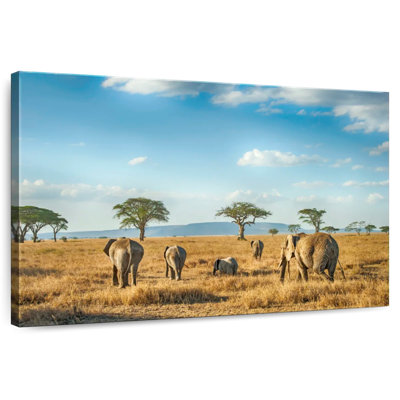 Brampt Serengeti Elephants