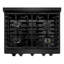 ZLINE 30" Paramount Dual Fuel Black Stainless Steel Range w/ 4 Burners & Convection Oven (SDRB-30)