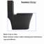 Toilette moderne noire matte, double chasse 1,1 / 1,6, option d'économie d'eau pour la longévité-121676140