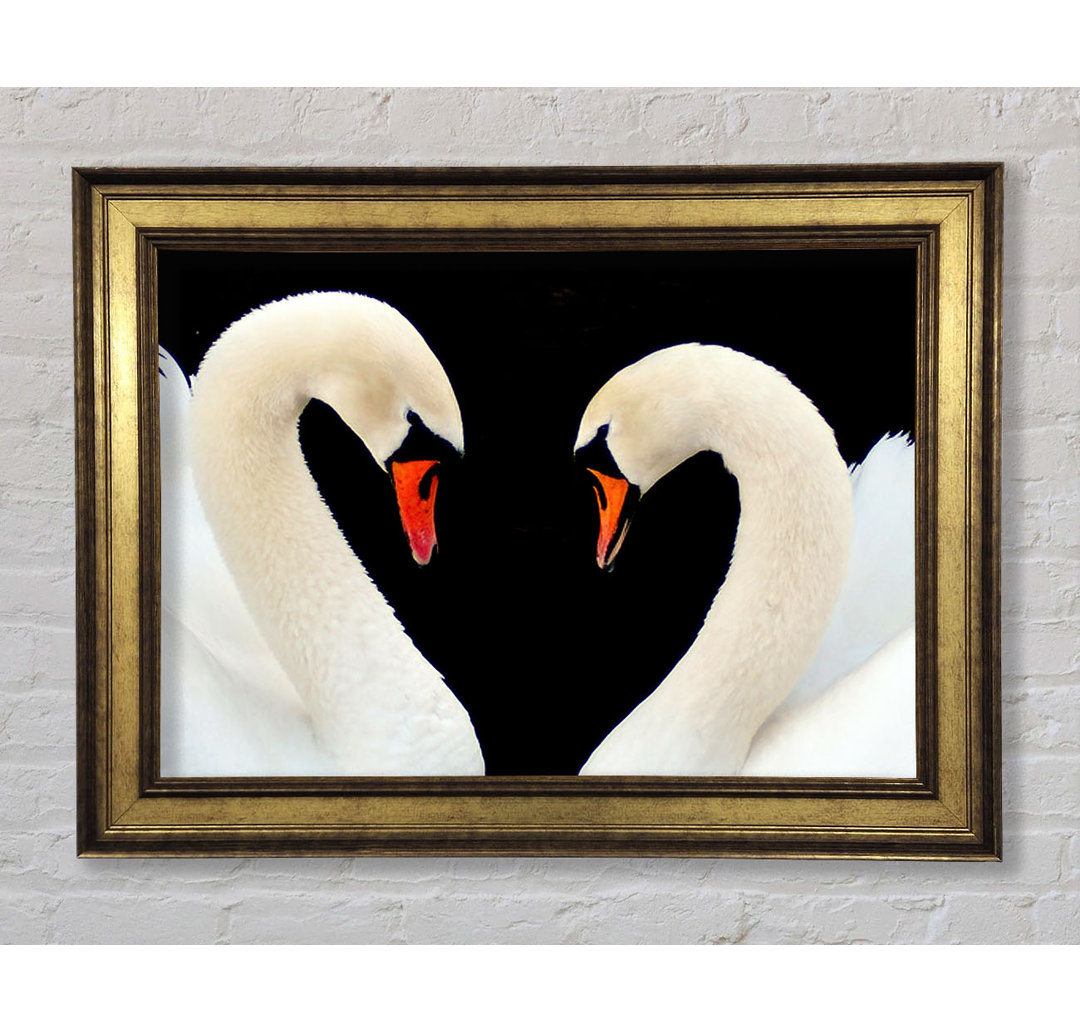 Love Heart Swans - Bilderrahmen Kunstdrucke