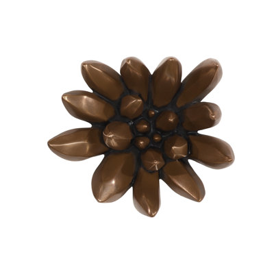 Compactum Succulent Wall Art, Imperial Bronze