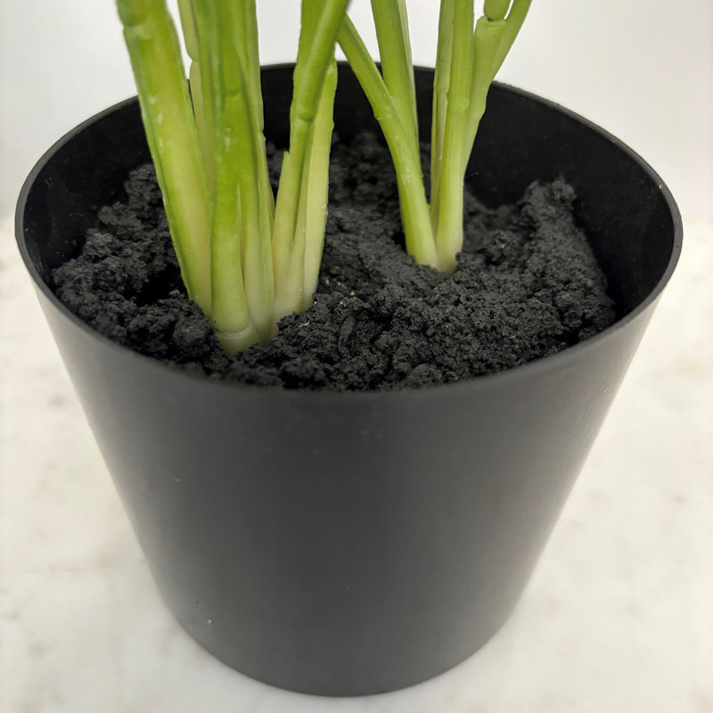 Marantacées artificielles 21 po en doublure de pot