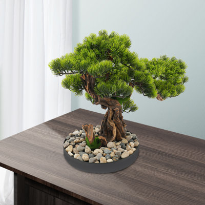 Desktop Artificial Bonsai Pine Tree