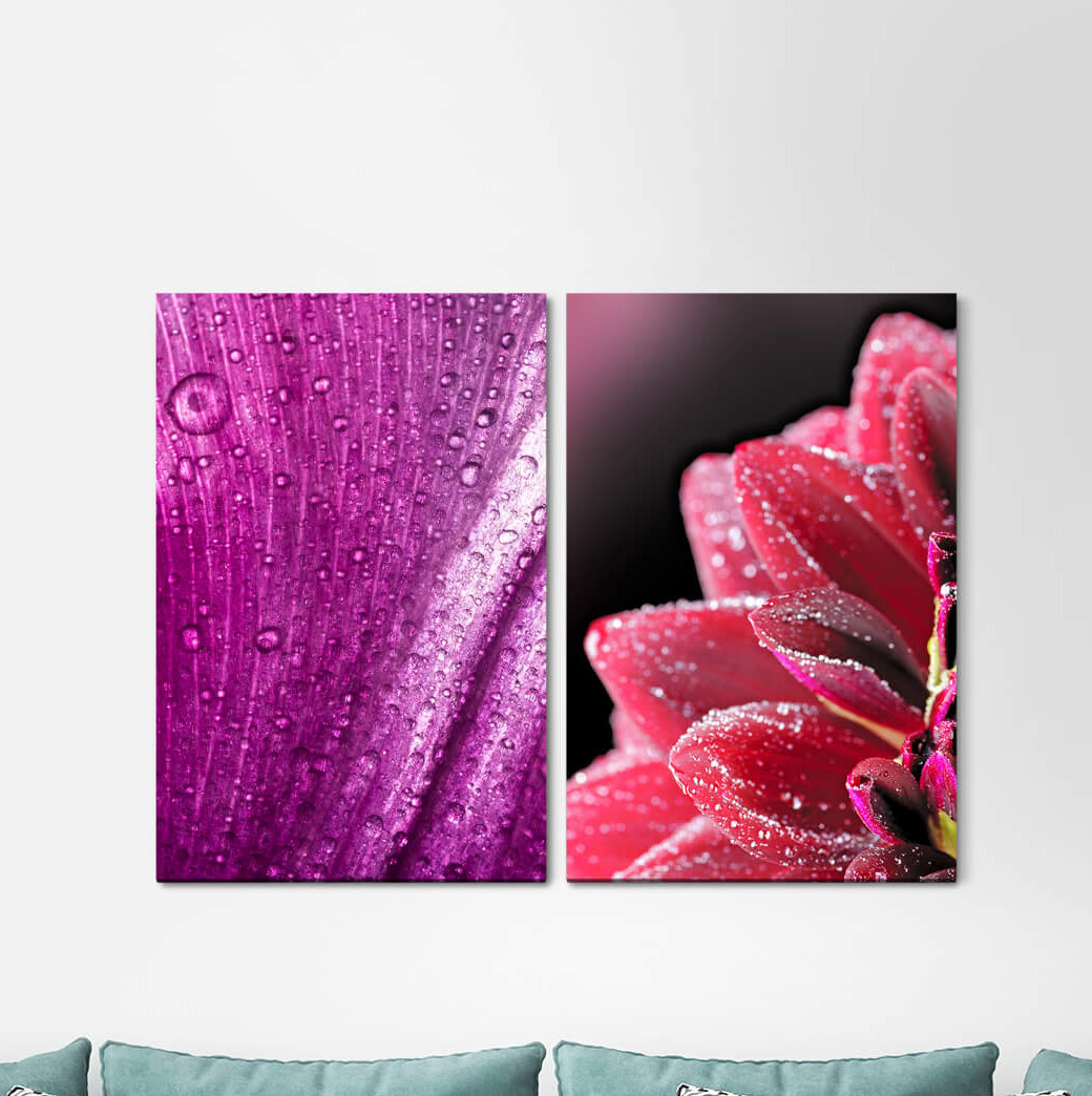 2-tlg. Leinwandbilder-Set - Grafikdruck „Raindrops Zinnias Orchid Flowers Summer Harmonious”