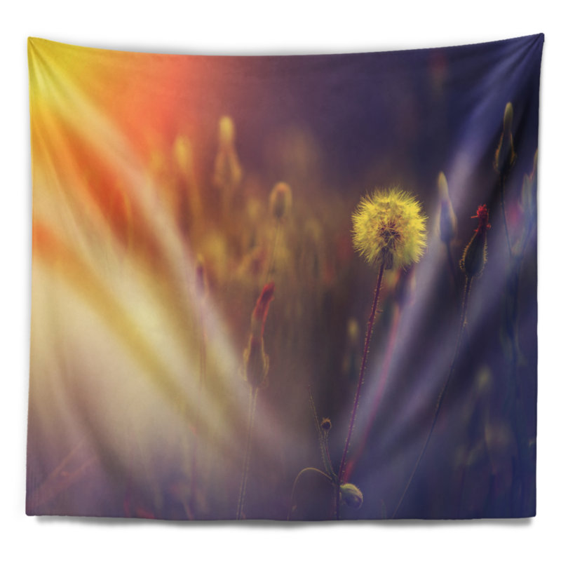 Tapisserie de fond photo pissenlit en polyester avec accessoires suspendus inclus, H 50 po x l 60 po