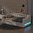 Twin XL Daybed With Enhanced LED Lighting And A Dual-Drawer Storage Solution-442395744