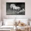 Cheval andalou Brampt-107877162