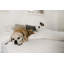 Housse de protection pour matelas ajustée en tissu éponge Ralon-208981825
