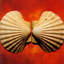 Sea Shells-1571502070