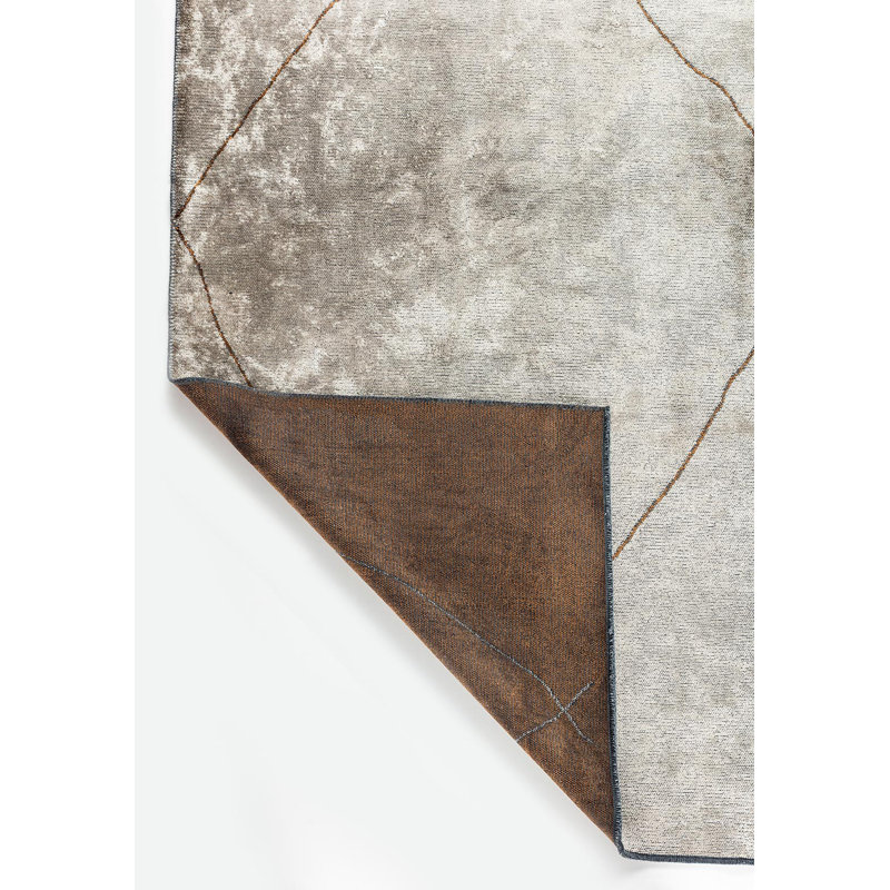 Ambernique Rectangle Geometric Cotton and Viscose Indoor / Outdoor Area Rug, Rectangle 5'3" x 7'6"