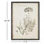 Wild Flower Wall Art