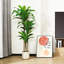 Ruxin Faux Tree-2066062002