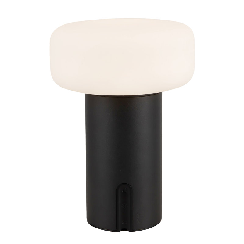 Lampe portable d'extérieur à DEL 8 po Shilo, Matte Black