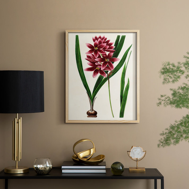 AntiqueFloralFolioV, reproduction encadrée - bois massif, H 11 po x l 9 po