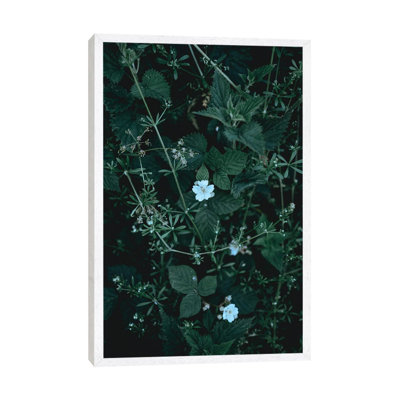 Greenery - Print on Canvas