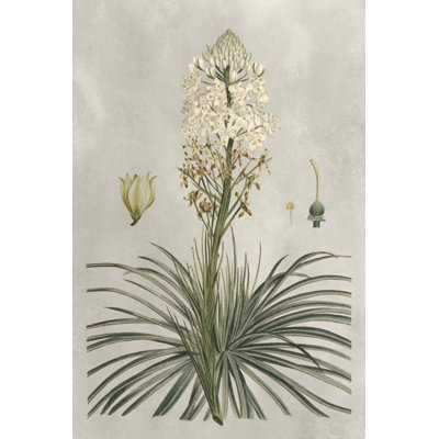 Tropical Varieties III - Painting