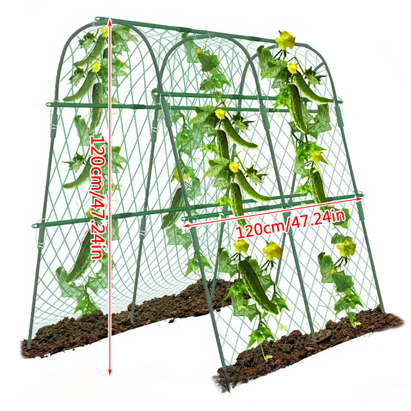 120cm H x 120cm W Arched Trellis