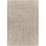 Mendota Moroccan Machine Woven Indoor / Outdoor Area Rug in Beige
