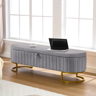 Banc de rangement rembourré en velours avec pieds en fer en forme de fer à cheval pour le salon: solution de bout de lit élégante et fonctionnelle