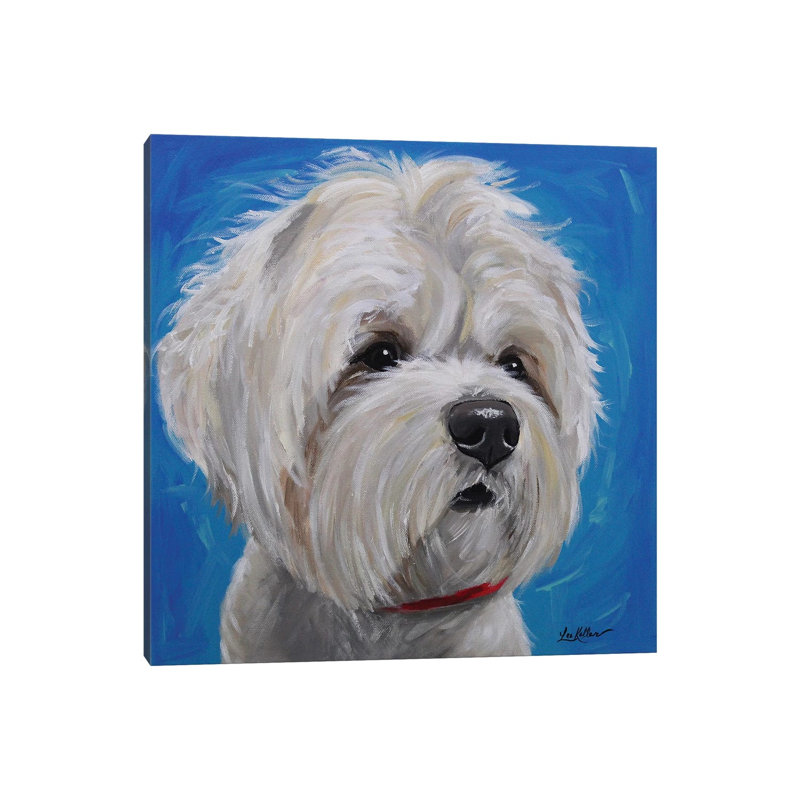 Maltese Shihtzu Mix - Pipa by Hippie Hound Studios - Wrapped Canvas Painting, 66.04 cm H x 66.04 cm W x 3.175 cm D