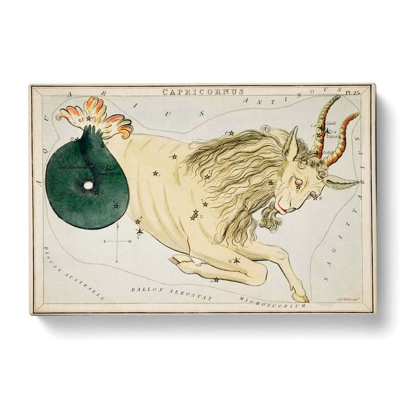 Astronomical Zodiac Chart of the Capricorn - Wrapped Canvas Drawing Pint - Wrapped Canvas, 40cm H x 60cm W x 3cm D