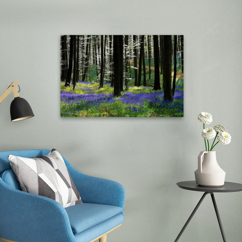 Bleu argenté - paysages, arbres, photographie, H 16 po x l 24 po