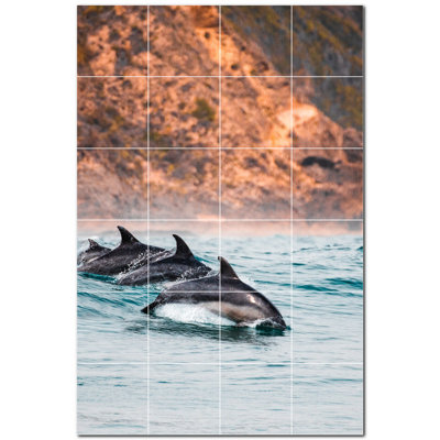 Dauphin photo 6 x 6