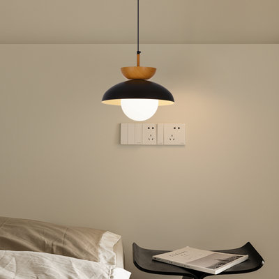Luminaire suspendu noir à 1 lumière Makrina