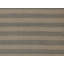 Striped Area Rug in Gray/Beige