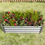 Jardinière surélevée en métal argenté de 421 pieds carrés pour légumes, fleurs et herbes aromatiques - Stable et durable pour la culture d'herbes aromatiques et de fleurs.