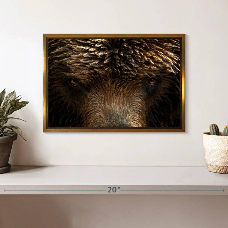 Yeux de grizzly, Cadre flottant doré, 13 po x 9 po