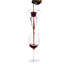 Glass Wine Pourer