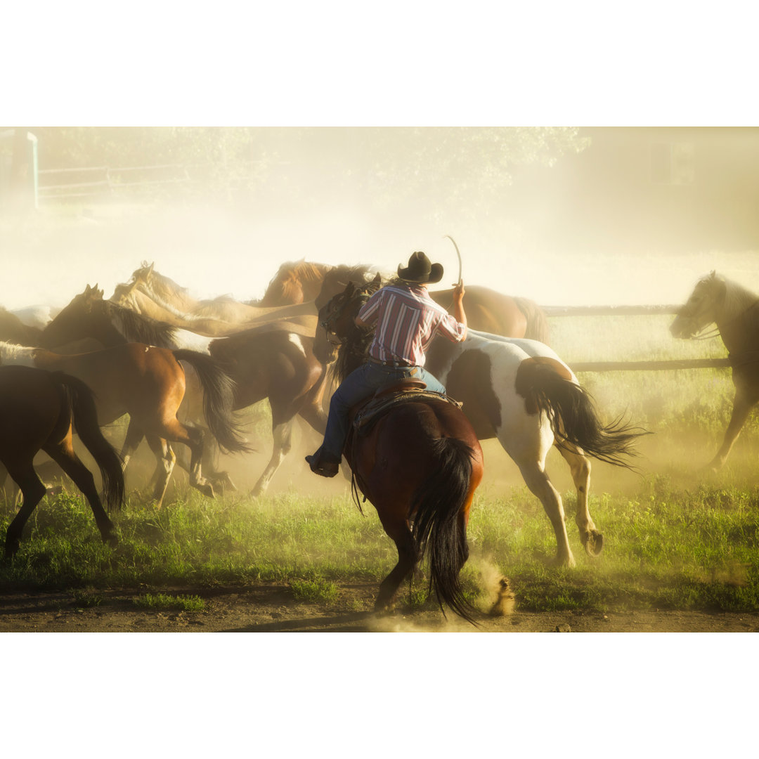 Cowboy bockt sein Pferd von NicolasMcComber - Leinwandbild