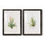 Gardenaire I - Ensemble de 2 peintures-450448134-450448129