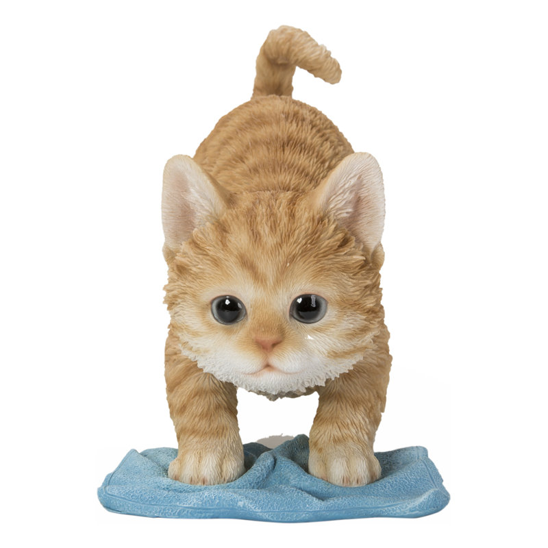 Chaton lavant le sol