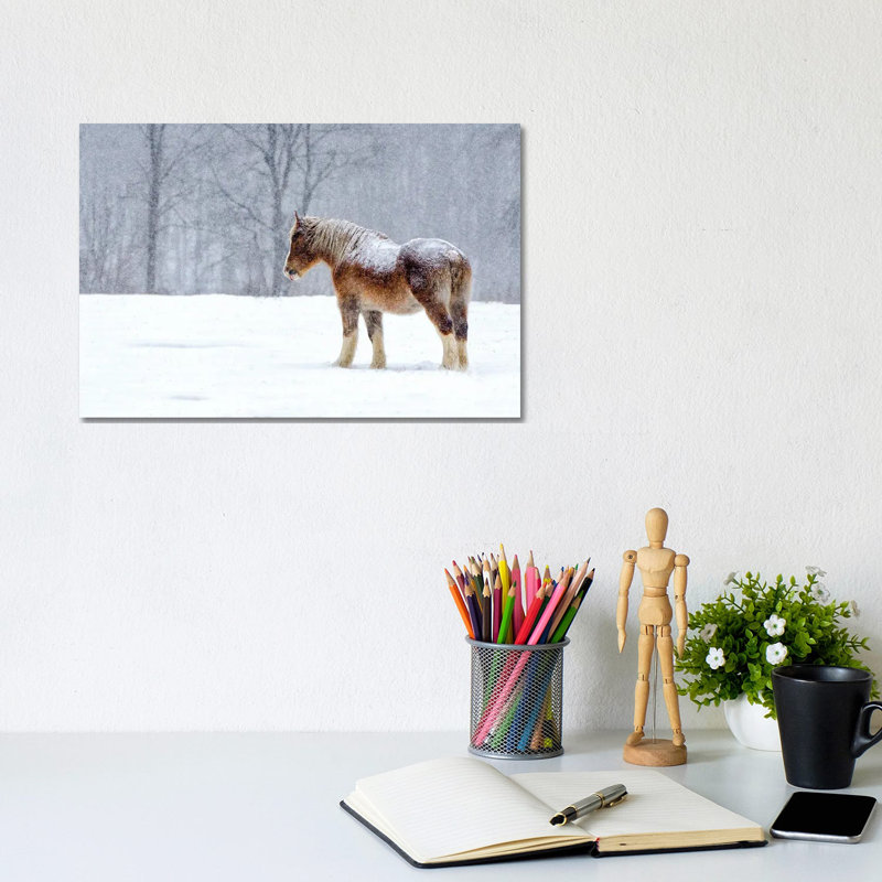 Stoic 1 Piece Wrapped Canvas Wall Art, 20.32cm H x  30.48cm W