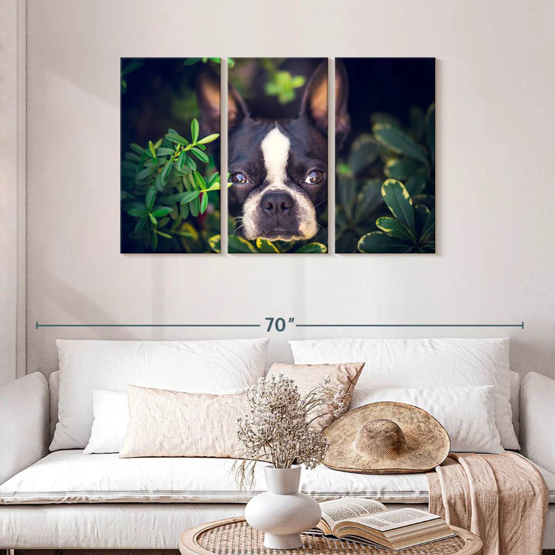 Brampt Boston Terrier Hiding, 28" H x 45" W
