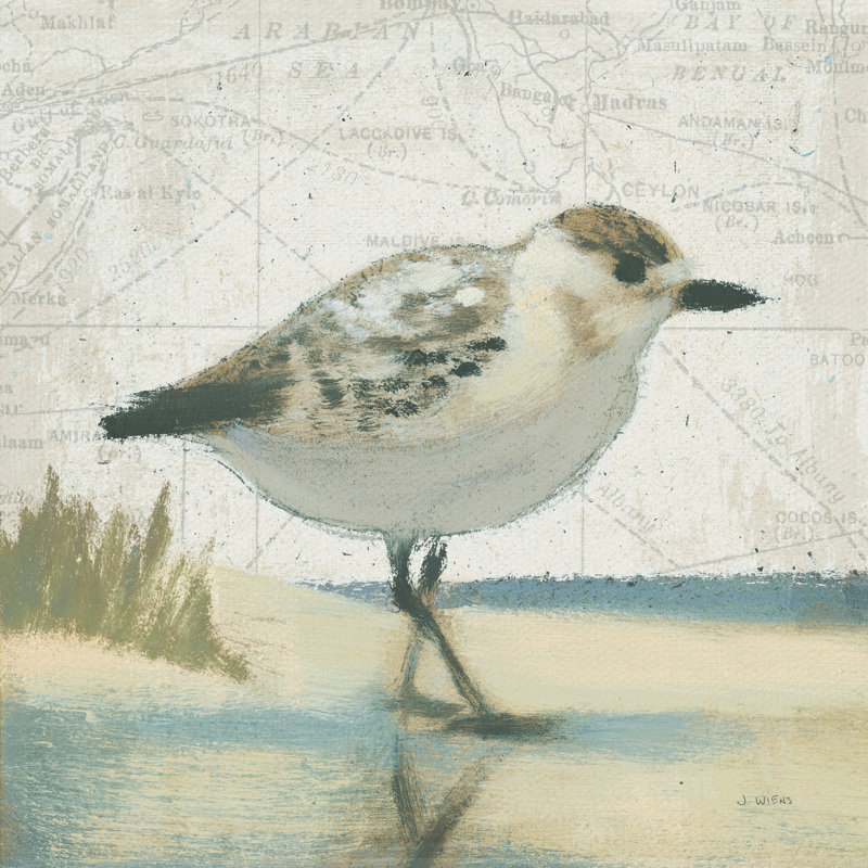 «Beach Bird I» par James Wiens - reproduction d'art sur toile tendue, H 12 po x l 12 po