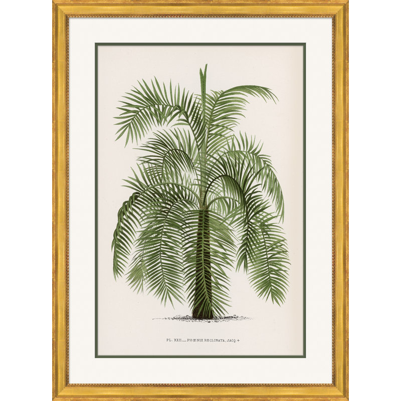 Palms 2 Giclee Print by Isabelle De Borchgrave