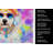 Bichon Frise Hippie Dawg Kitchen Towel