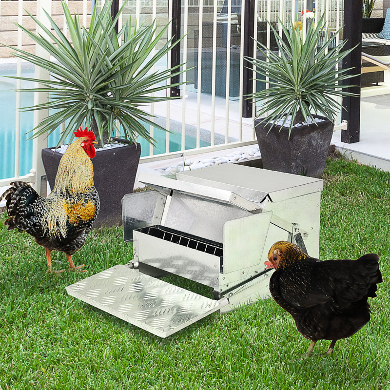 Mangeoire automatique pour volaille d'une capacité de 30 lb - L'acier galvanisé, l'aluminium minimise le gaspillage et améliore l'efficacité de la gestion de l'alimentation des poulets