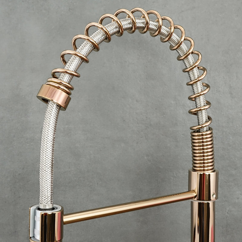 Belfry Kitchen Kitchen Faucet, Brass