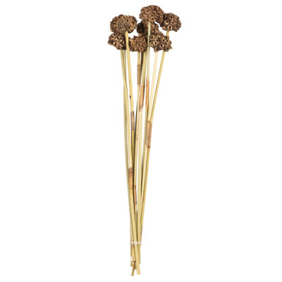 Preserved Faux Floral Arrangement