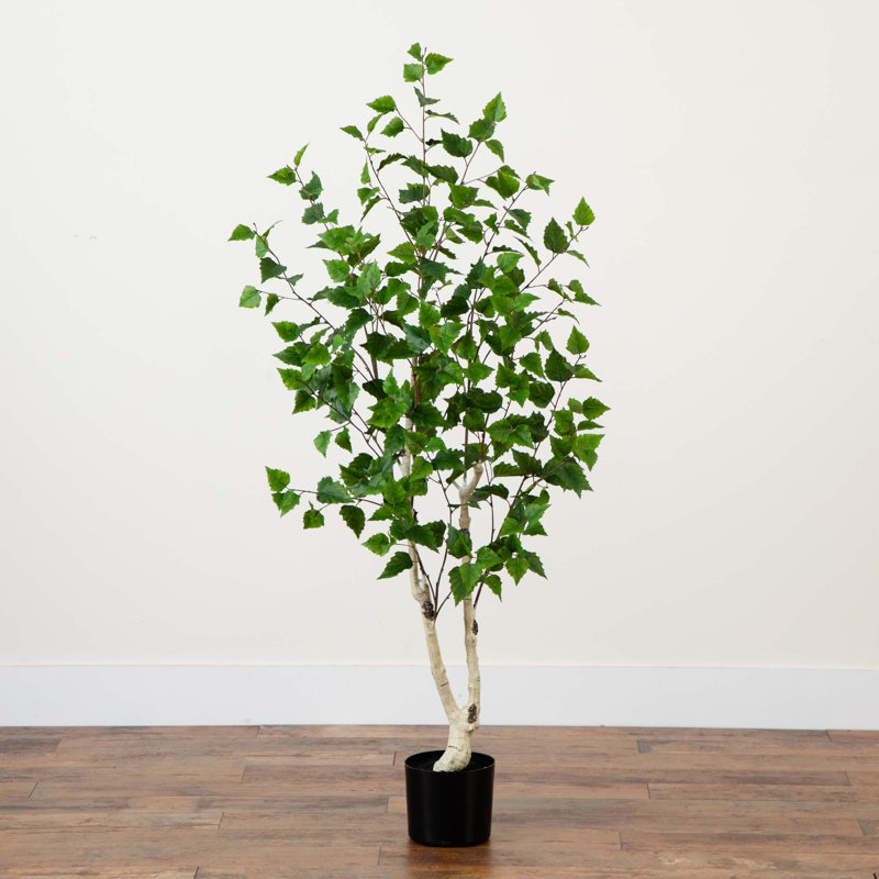 Faux bouleau en pot, 60"