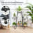 Metal Weather Resistant Plant Stand