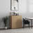 Cesiro Accent Cabinet With Adjustable Shelves-146806969-159153783