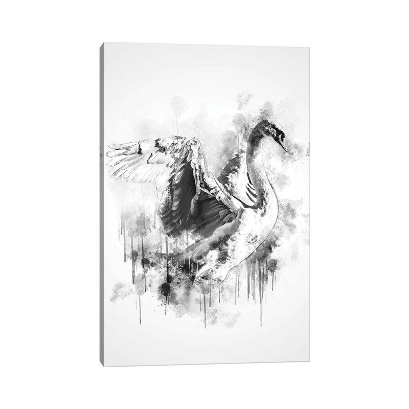Swan In Black And White by Cornel Vlad - Wrapped Canvas Painting, 66.04 cm H x 45.72 cm W