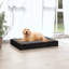 Lit pour chien Tucker Murphy Pet ™ 28,1 po x 21,3 po x 3,5 po en bois de pin massif-1034495103-1027832993
